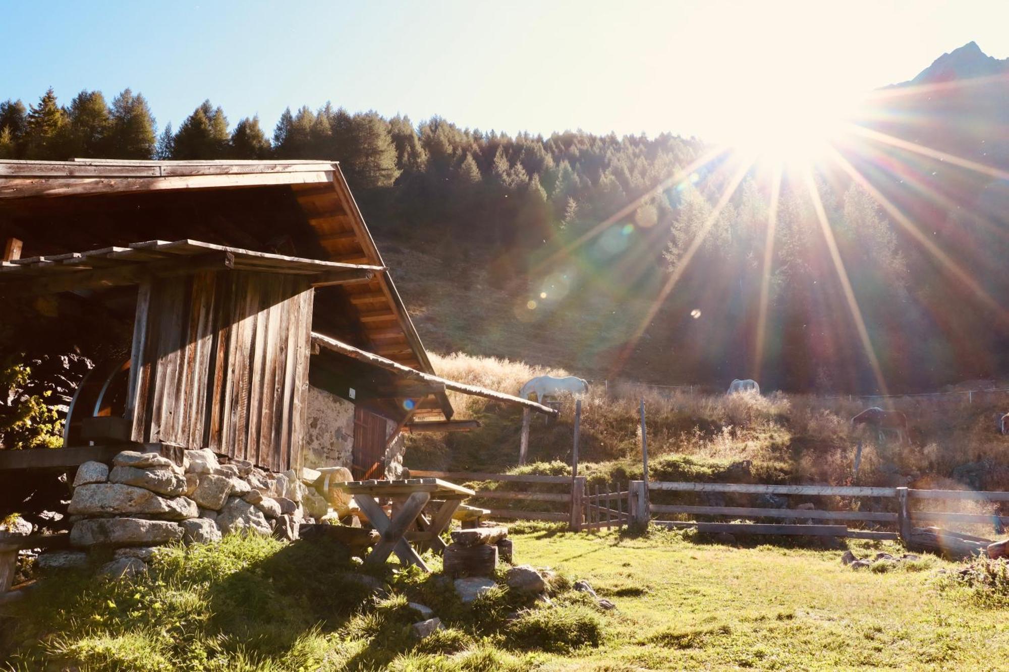 Landhaus Sonnrain 펜델스 외부 사진